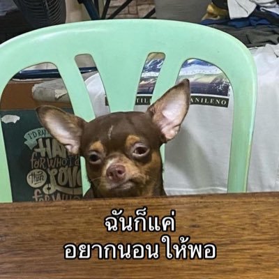 mmtcnsp's profile picture. 