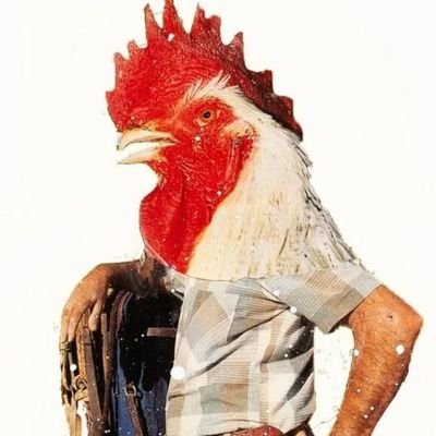 lambus1973's profile picture. 