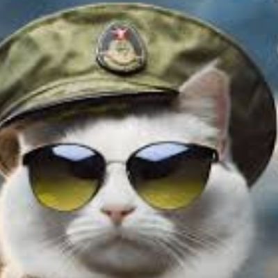 NekoChuuui_AK47's profile picture. 猫　実銃　実弾射撃　毒舌　菜々緒　あの　ケータハム7　GLIM SPANKY　超好き　読書　映画　柔道　保護猫活動　ゲーム　アート　大好き　保護猫チョコの手下　心不全で通院中の為､体調に波あり　返信も遅いです　さーせん❢　😸✌