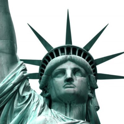 A_New_America's profile picture. The America Party is the future