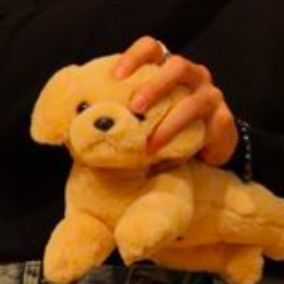ACE /ᐠ - ˕-マ｡. ✧.ﾟꕤさんのプロフィール画像