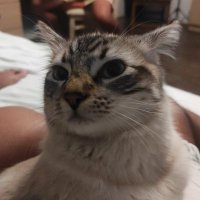 ryan (@medryang) 's Twitter Profile