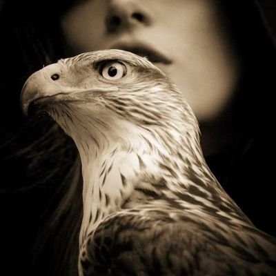 01117819349/توبالمن مات تحت حوافرالخيل شرفاومجدولم يرضي أن يعيش عيشه الانعام لاحول لهاالاليسيدهاحتي أذسمنت هم ليزبحهاكماتزبح الاءنعام