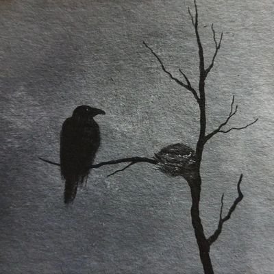 RomesRoman's profile picture. cs enjoyer
#antiwoke
