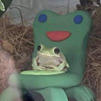 Kassu (@anaaa_pp) 's Twitter Profile