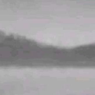 dhodieHarCored's profile picture. Mostly rendering stuff @ Apple - Views are my own