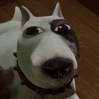 BenChadwick5674's profile picture. Pro at napping.