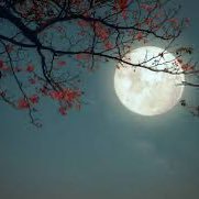 bdooooor333's profile picture. .