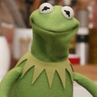 pom121212's profile picture. Professional dumbass