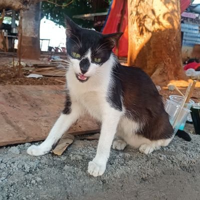 _dishapatanahi_'s profile picture. life is a popularity contest