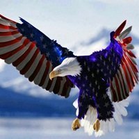 MAGA/MAHA! ANTI LIB w no apologies! GrammyX8. 1A/2A IFB. God, Family, Country. Purebld. NO DM. No porn No crypto, u will be blocked!