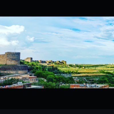 Neslii0121's profile picture. 