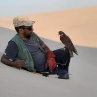 ربيع عبدالواحد (@rapeeaail) 's Twitter Profile