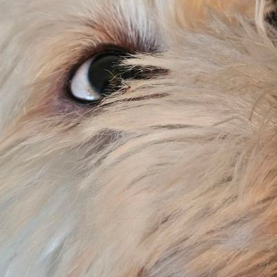 divbnull's profile picture. Nothing but the modest truth do I speak to thee, for I am part of that power which eternally wills evil and eternally does good.