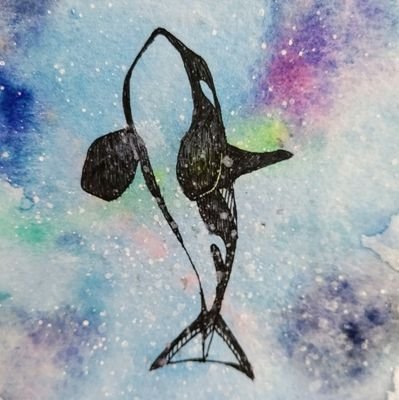 紺先生(豆教授)さんのプロフィール画像