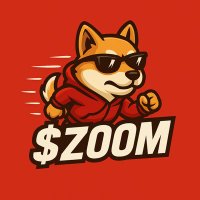 $ZOOM (@zoomsoll) 's Twitter Profile