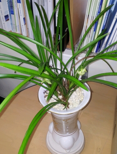 nollppark's profile picture. !!! !!!