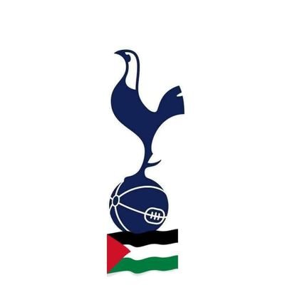 Mental Health Warrior. Tottenham Hotspur Supporter. Football Shirt Collector. Quiz Enthusiast.