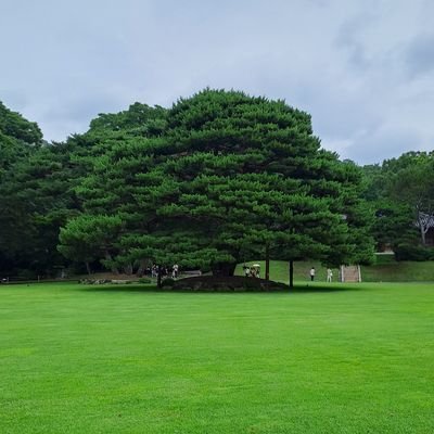 이재명대통령을 지지하며 그 정책들을 주시함.바로 가는 더불어민주당만 지지.
