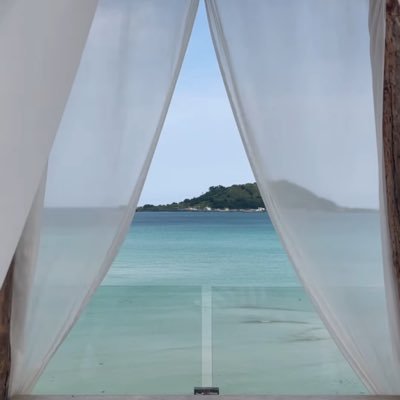 belle_rebellle's profile picture. Just a little culture - history - politics 🤏🏻✨