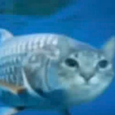 MoserRandom's profile picture. 