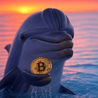 TCDDK (@tcddk56) 's Twitter Profile
