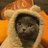 tombrider21 avatar