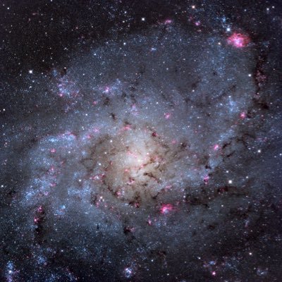 diizeus's profile picture. 