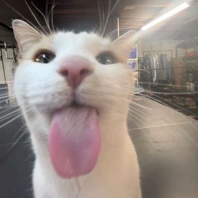 pepetteeeeee's profile picture. 🩷🩷🩷🩷🩷🩷