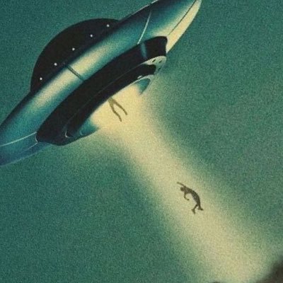 evv4k's profile picture. 