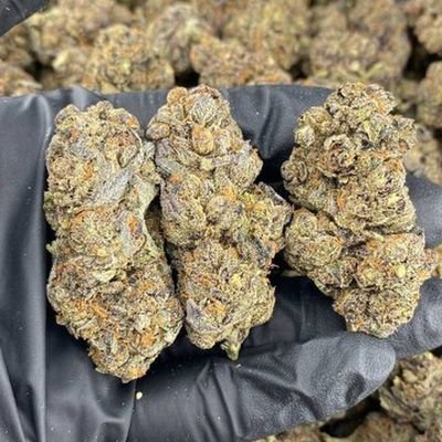 We sell we deliver❄️ 🍁 🍫 💊 text me on Snapchat https://t.co/1QJe8TpaRs