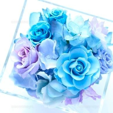 Fight441Love's profile picture. 健人くん応援垢💙
社会人👩 nagasaki
沢山のU:nityさんと仲良くなりたいです☺️
フォロー DM大歓迎です🙆🏻‍♀️
新規🔰ですが良ければ仲良くしてください😊
2024  4 9 I_AM_U入会