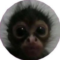 nova ⊰˚ (@mechaprincess) 's Twitter Profile