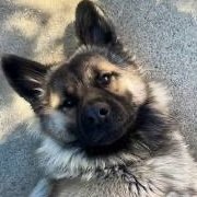 Breadbug (@breadbug_brdbg) 's Twitter Profile