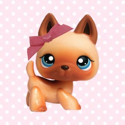lps collector & cartoons multifandom!! ♡ ~ @oneksan