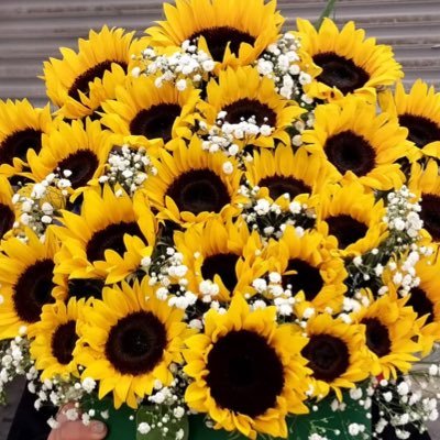 Penthea_'s profile picture. 