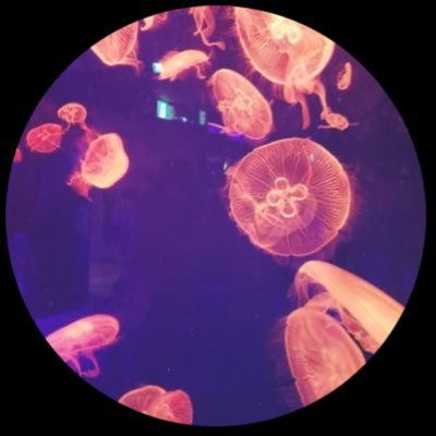 nakika112's profile picture. 冗談8割ふざけ2割。平凡限界社畜下民の日記。お口も根も悪いやつ。真面目に不真面目。この世で1番頑張ること大嫌い。極力頑張りたくない、怠けたい。ゲームは適当暇つぶし。フォトナはこれ以上上達しません。人見知りで面白いこと何一つ言えない女オブジイヤー受賞。一生下手なので一緒に遊ぶとただの荷物です。ビクロイするのは諦めてね！