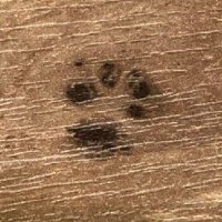 誰か (@oekakizukiyaro) 's Twitter Profile Photo