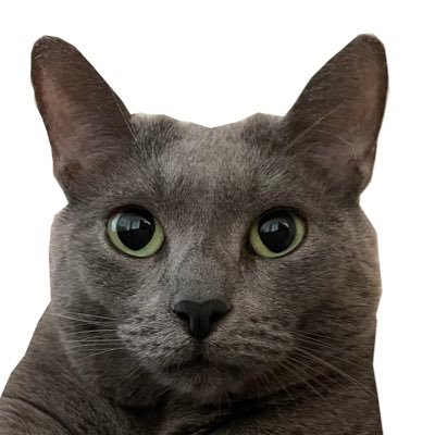 캣츠파파 Profile