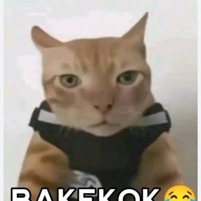 DanzzAOSP's profile picture. new acc🗿