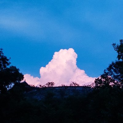calm_wa2ve_'s profile picture. 남