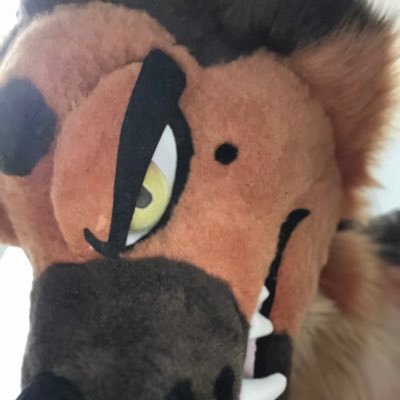 stinky_scotch's profile picture. 20s 🪢 AD of @scotchshep 🪢 ΘΔ 🪢 musk connoisseur