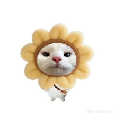 teazuzz's profile picture. 