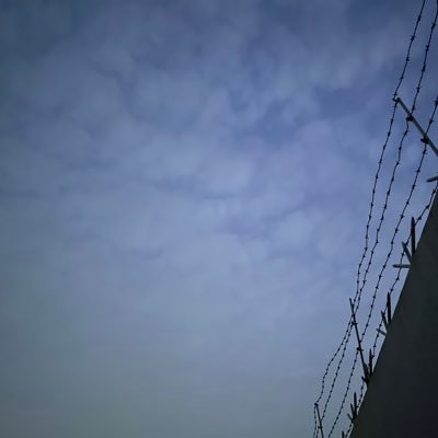coldrose____'s profile picture. 