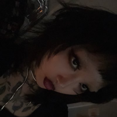 shaiさんのプロフィール画像