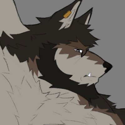 You know nothing about me, about us, about them
he/infj-t e6(w5) sp/so 693 | 🇵🇪