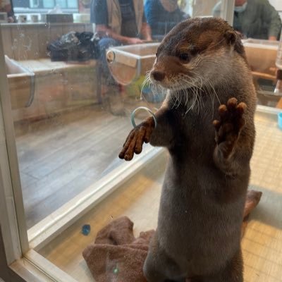 niichiro245407's profile picture. 北海道在住。