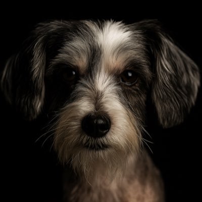 Come visit my online store for your gaming needs.