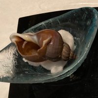 つまみ (@itsudemomomo) Twitter profile photo