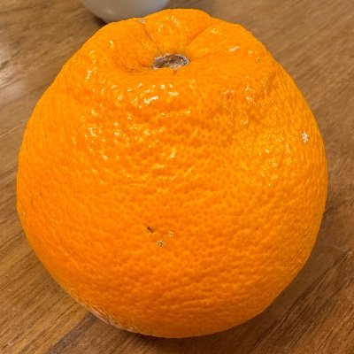 kokokaiyokan's profile picture. いつまでもインターネットの底に這いつくばっている妖怪